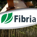 FIBRIA/BREZİLYA