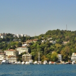 Kaynak: