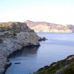 Kaynak: