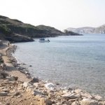 Kaynak: