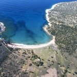 Kaynak:
