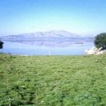Kaynak: