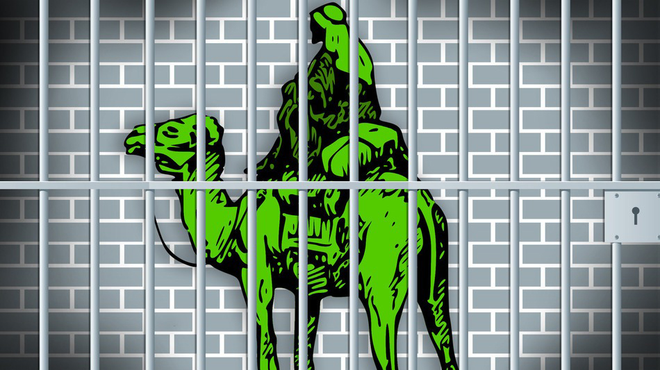 FBI, yasa dışı e-ticaret sitesi Silk Road 2.0'ın sahibini yakaladı