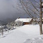 Kaynak: