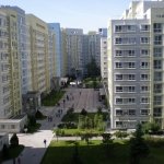 Kaynak: