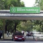 Kaynak: