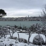 Kaynak: