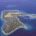 Kaynak: