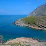Kaynak: