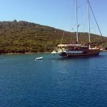 Kaynak: