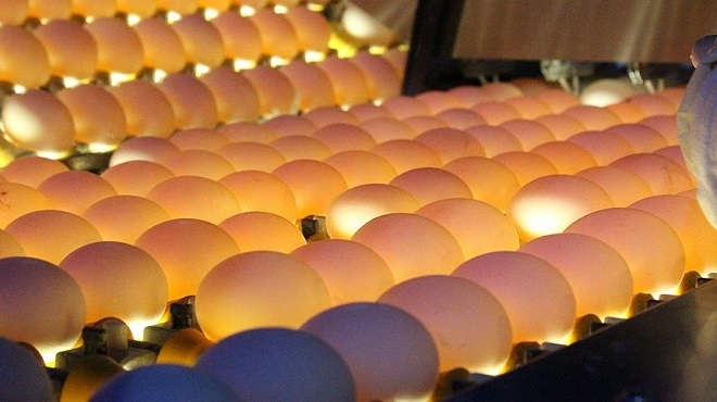 TKDK'den yatırımcıya 5 milyar lira hibe