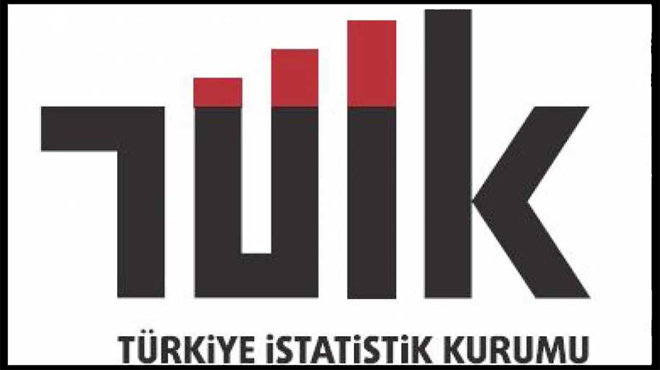 TÜİK basılı yayın üretimine son verdi