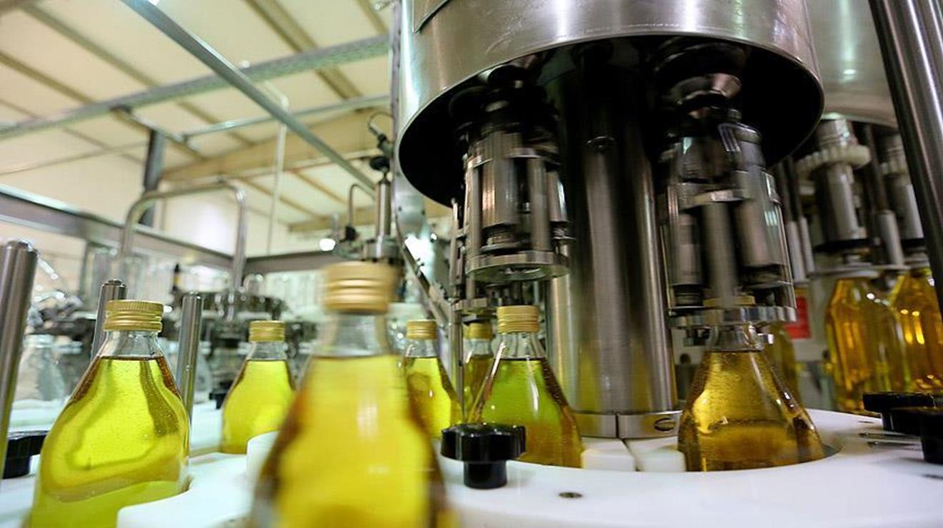 Производство оливкового масла. Производство масла оливкового завод. Оливковое масло фабрика Греция. Турецкое оливковое масло. Производство оливкового масла фото.