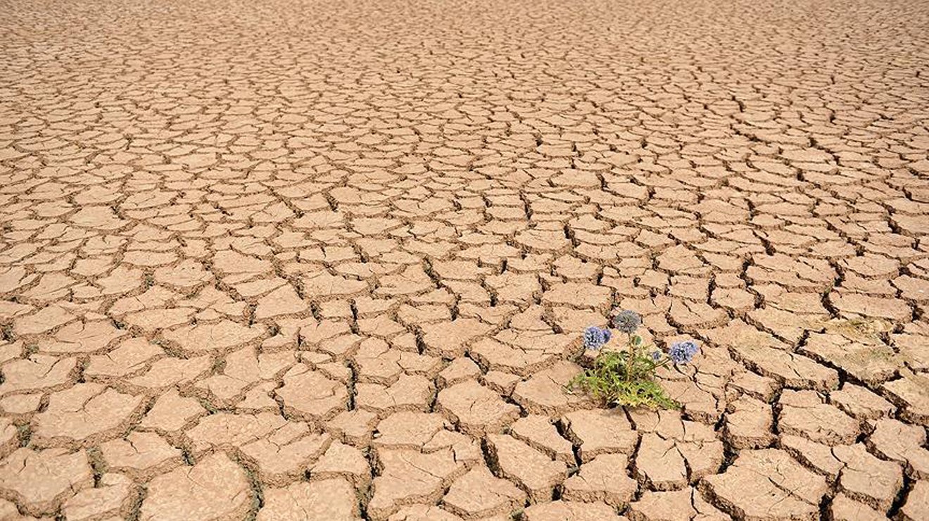 Атмосферная засуха. Опустынивание земель. Засуха земли. Засуха картинки для детей.