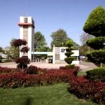 Kaynak: