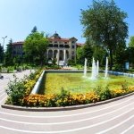 Kaynak: