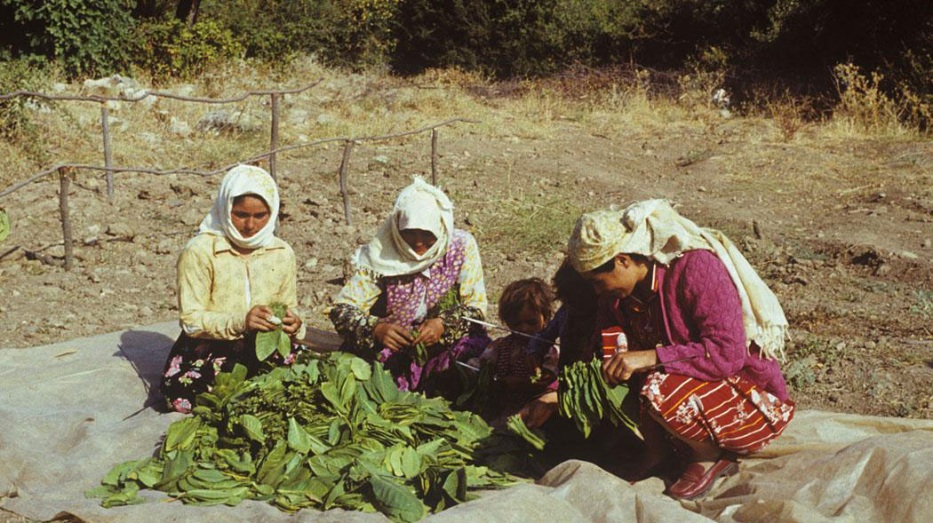 İhraçlık nargile tütünlerine yeni düzenleme