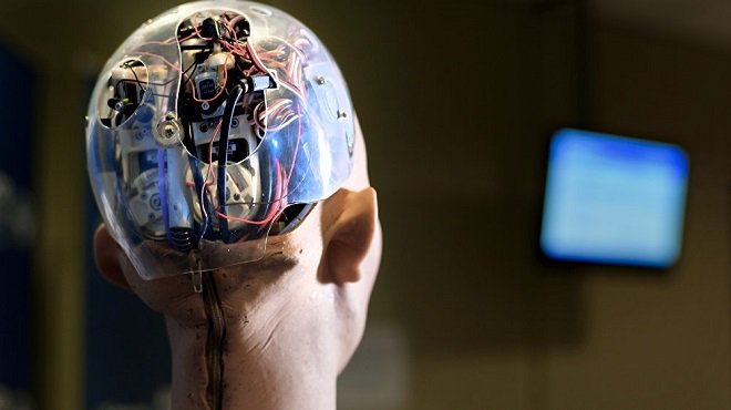 Malta, robotlara vatandaşlık vermeyi planlıyor