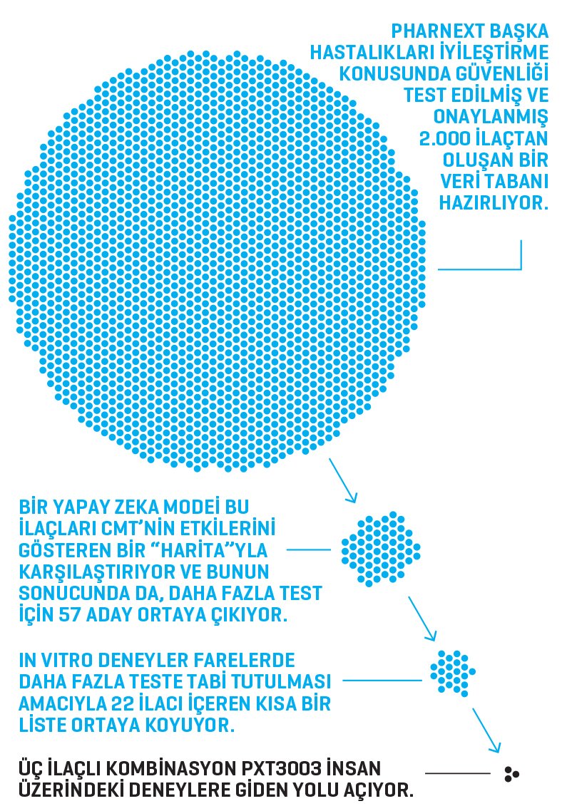 bio_graphic_003_KT