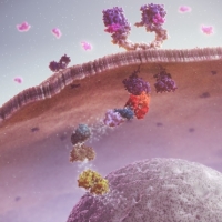 AZ1720-Oncology-tumour-drivers (1)