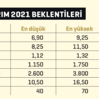 Ekran-Resmi-2021-01-15-10.54.48