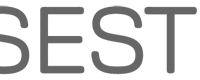 sestek-logo